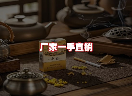 专业团队